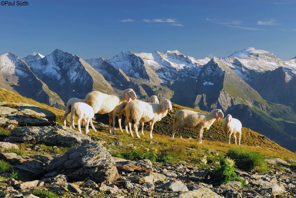 Apartamento Haus Alpenfriede Ramsau im Zillertal Habitación foto