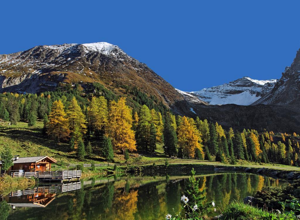 Apartamento Haus Alpenfriede Ramsau im Zillertal Exterior foto