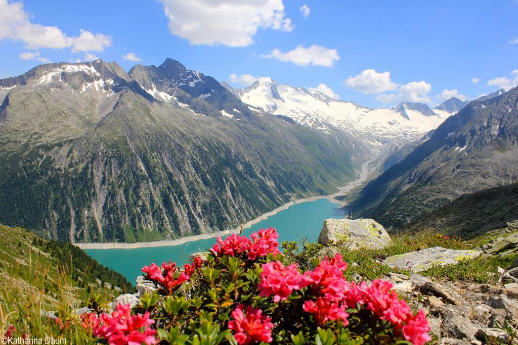 Apartamento Haus Alpenfriede Ramsau im Zillertal Exterior foto